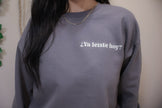 ¿Ya Leíste Hoy? — Literary Sweatshirt (Gray) Rooted Book Lover Co